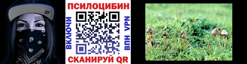 купить наркотики цена  Алагир  Псилоцибиновые грибы ЛСД 